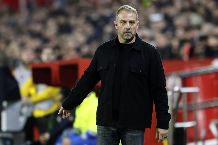 持续说服球, 塞尔