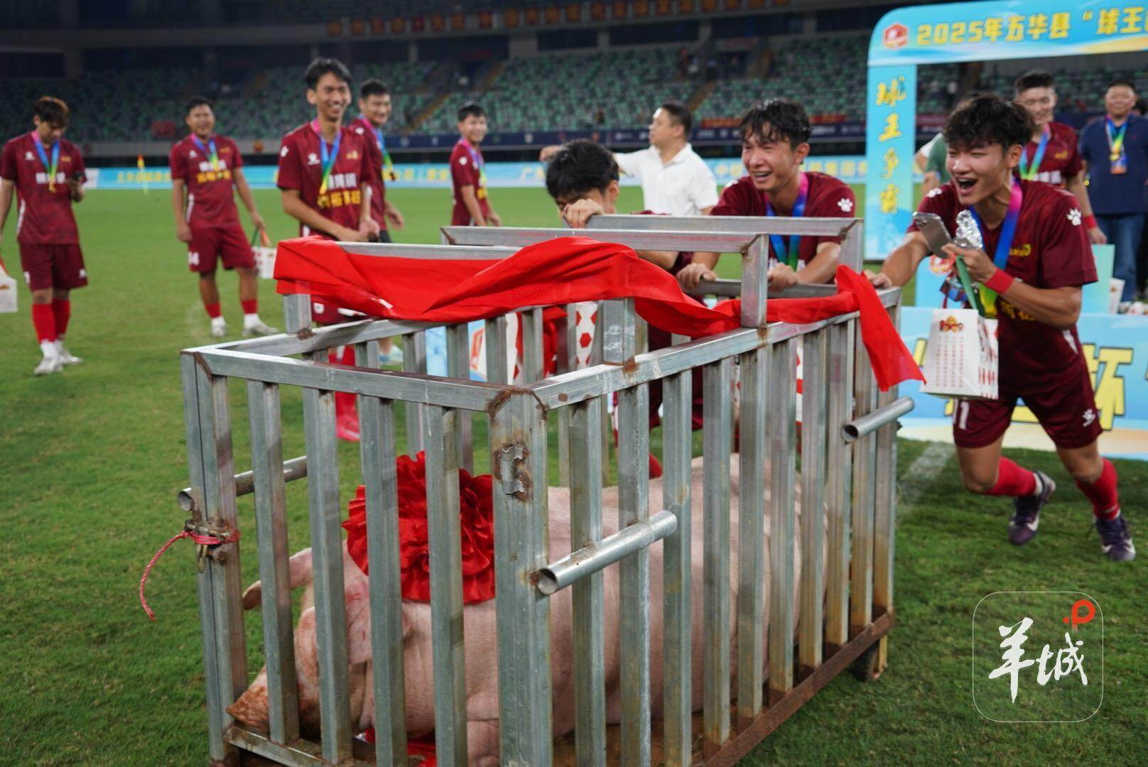 获冠军, 足球赛事, alt 获冠军, 足球赛事, alt